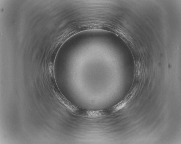 X0000058120141200510171320