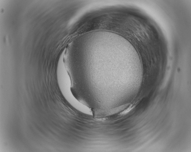 X0000058120143200510171320