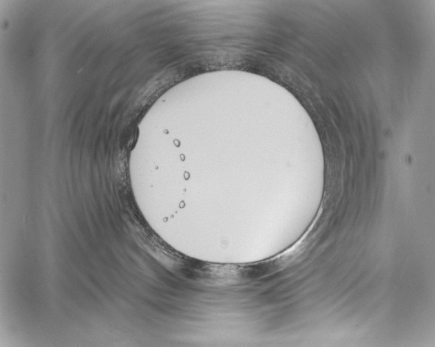 X0000058120144200510171320