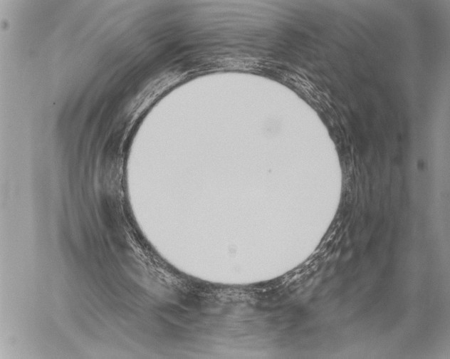 X0000058120146200510171319