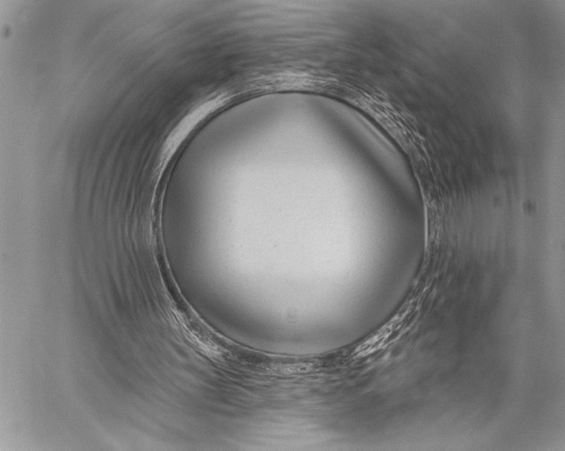 X0000058120147200510171319