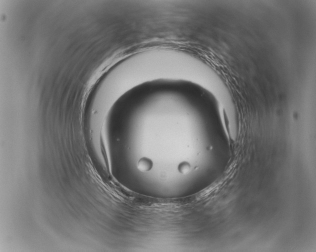 X0000058120150200510171319