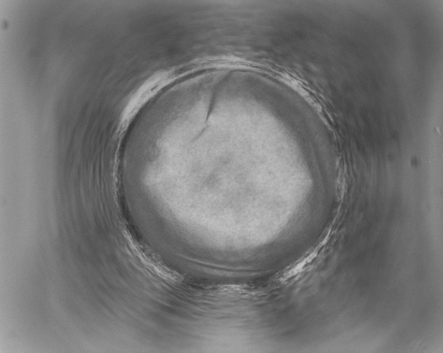 X0000058120151200510171319