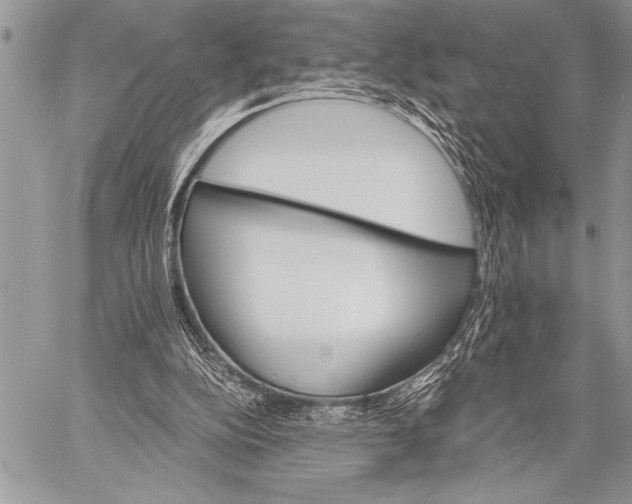 X0000058120152200510171319