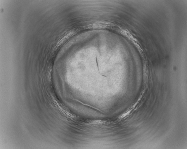 X0000058120153200510171319