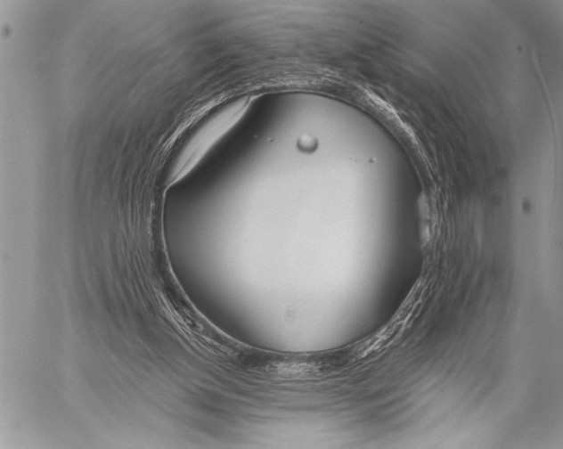 X0000058120154200510171319