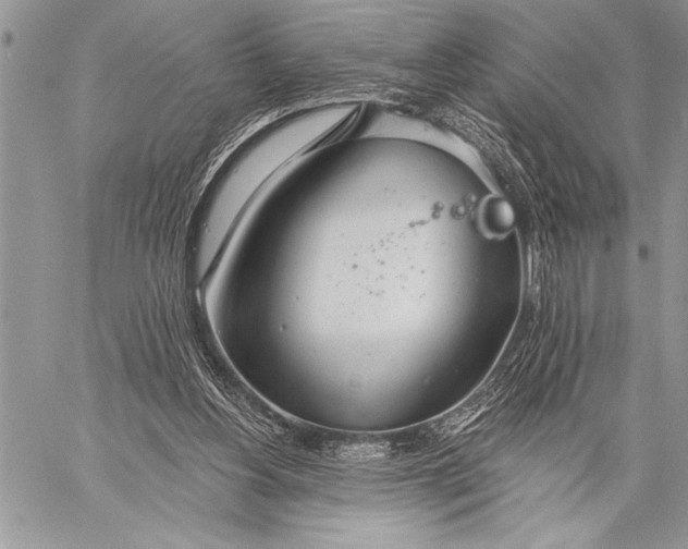 X0000058120156200510171319