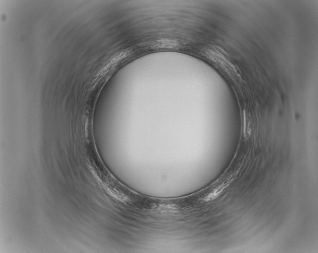 X0000058120157200510171319