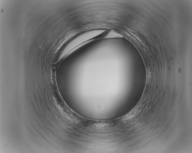 X0000058120158200510171319