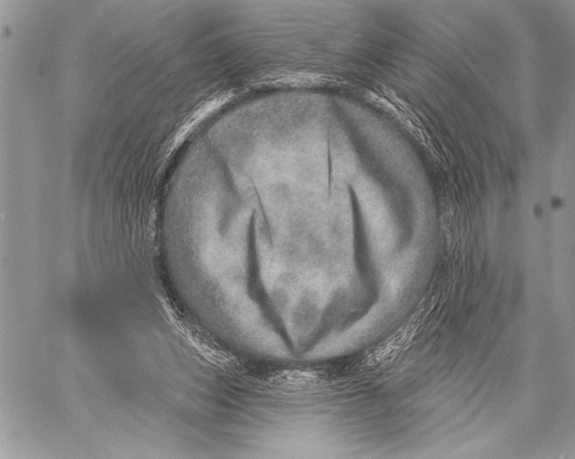 X0000058120159200510171319