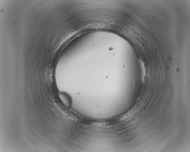 X0000058120160200510171319