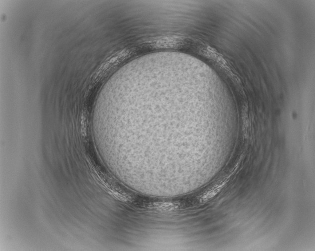 X0000058120161200510171319