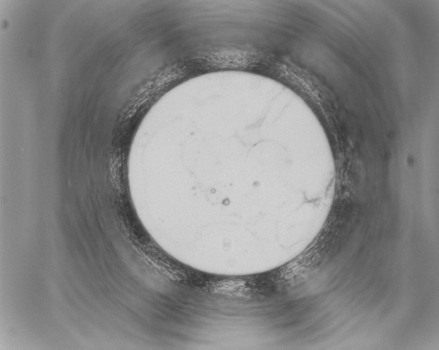 X0000058120162200510171319