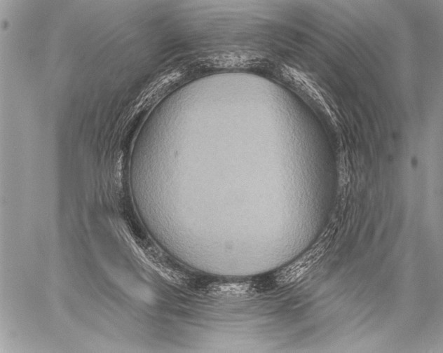 X0000058120163200510171319