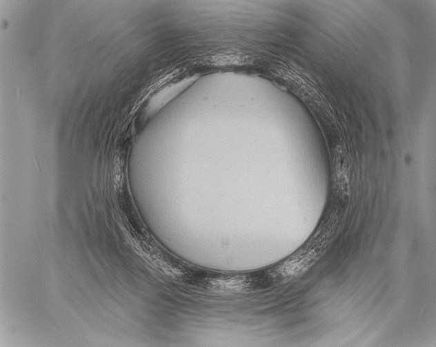 X0000058120164200510171319