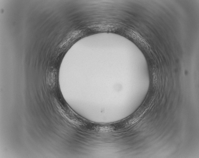 X0000058120165200510171319