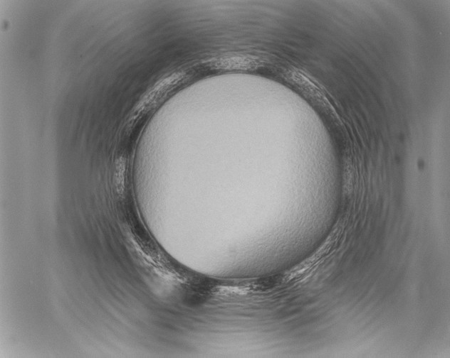 X0000058120167200510171319