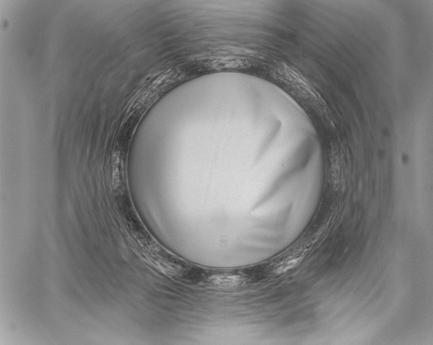 X0000058120169200510171319