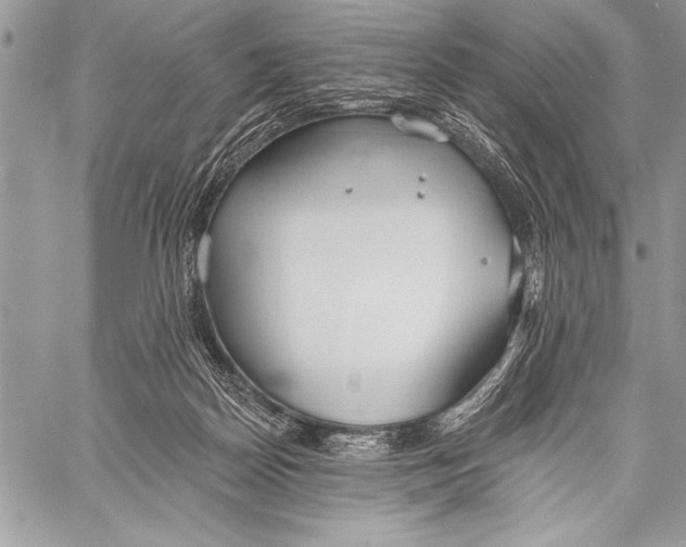 X0000058120170200510171319