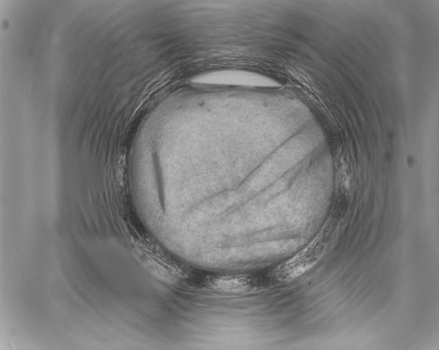 X0000058120171200510171319