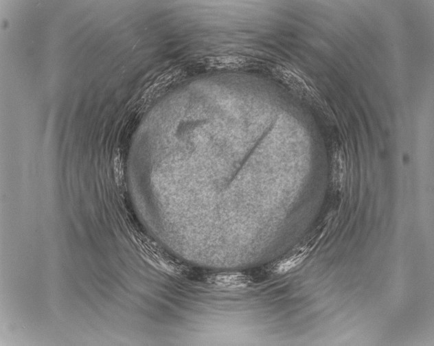 X0000058120173200510171319