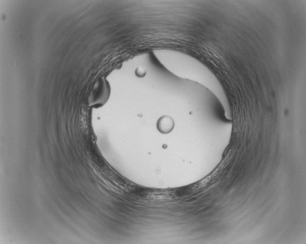 X0000058120175200510171319