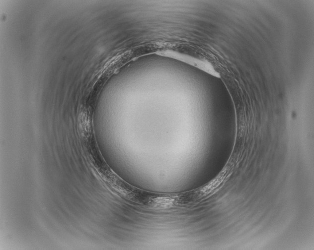 X0000058120176200510171319