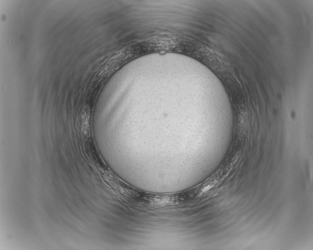 X0000058120177200510171319