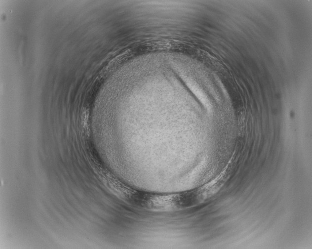 X0000058120178200510171320