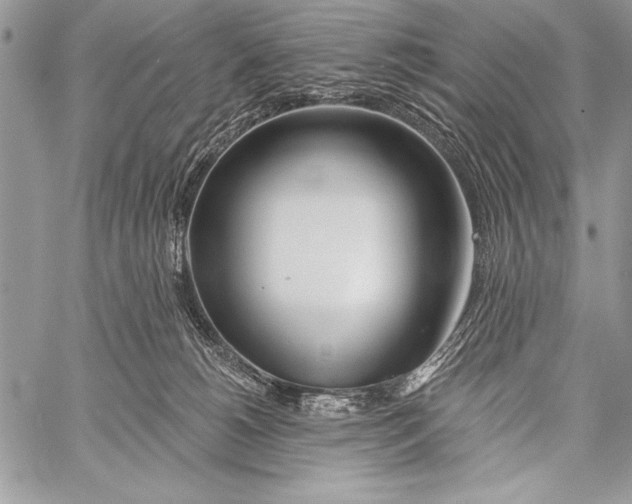 X0000058120180200510171320