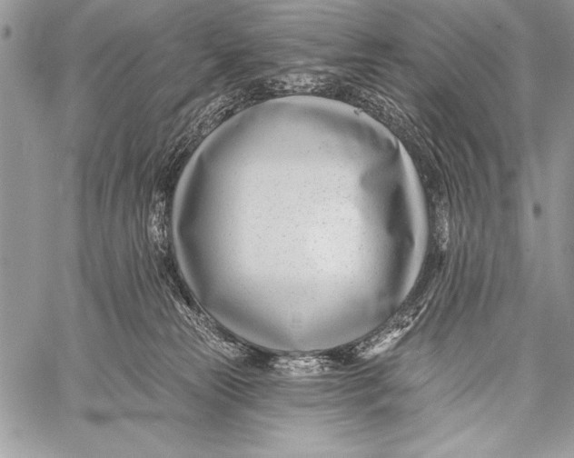 X0000058120181200510171320