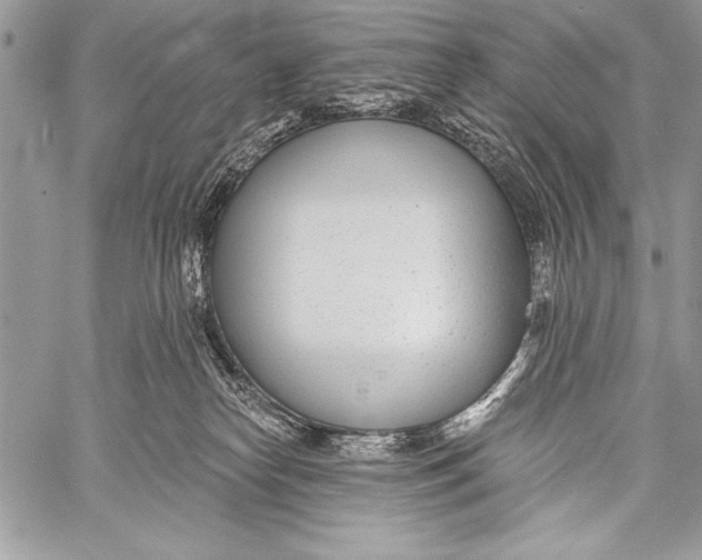 X0000058120182200510171320