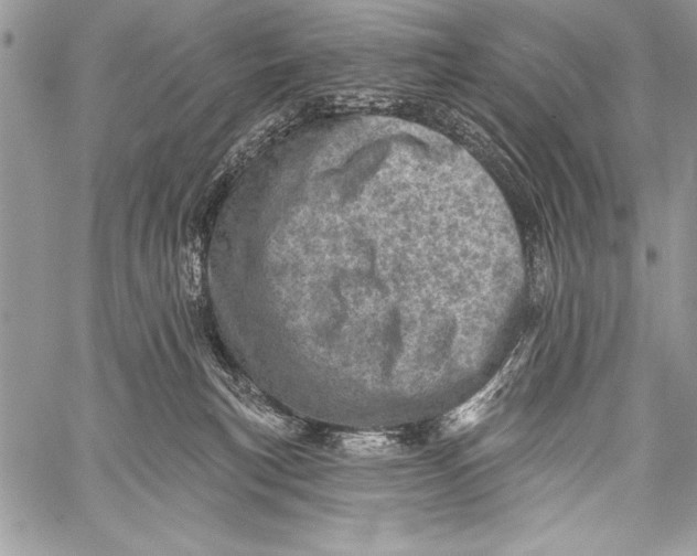 X0000058120183200510171320