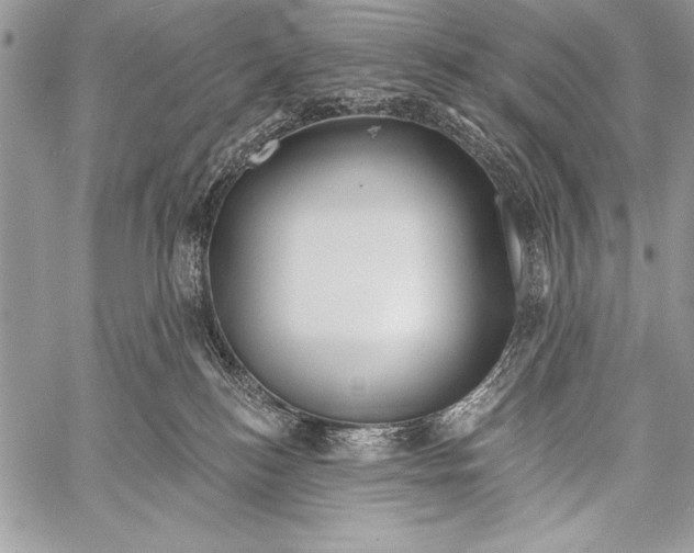 X0000058120184200510171320