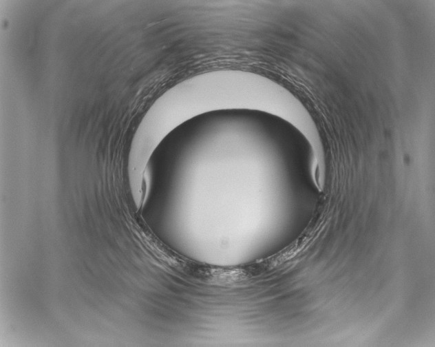 X0000058120185200510171320