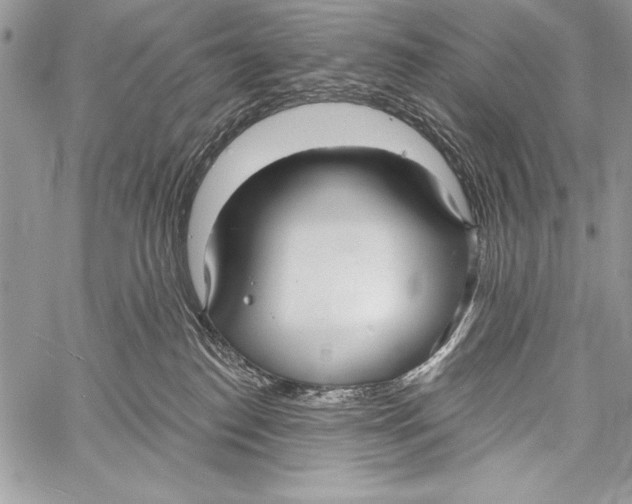 X0000058120186200510171320