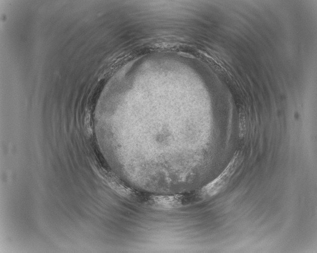 X0000058120187200510171320