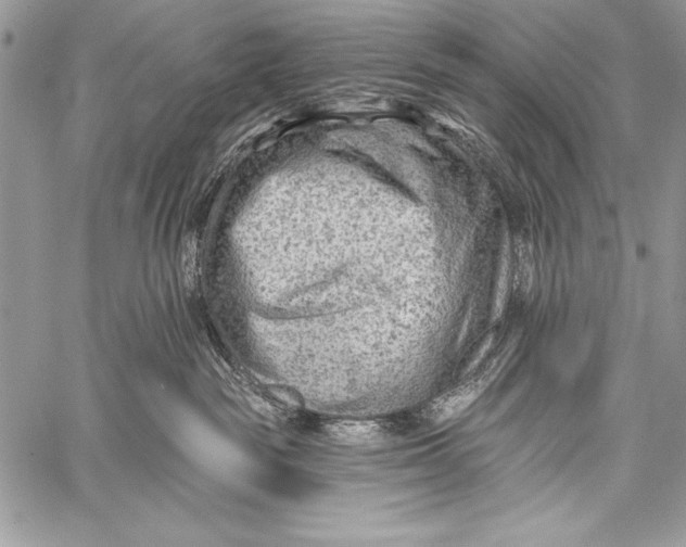 X0000058120189200510171320