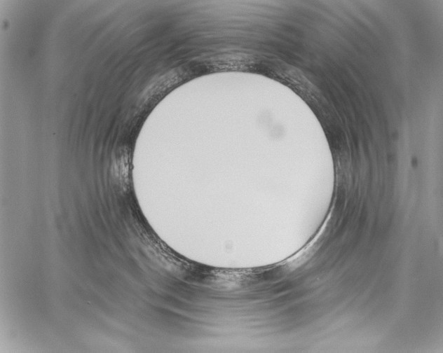 X0000058120190200510171320