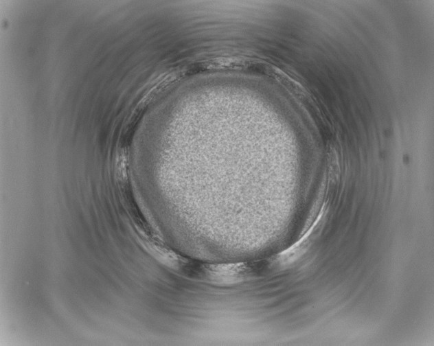 X0000058120191200510171320