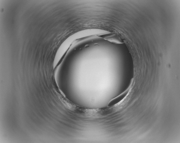 X0000058120192200510171320