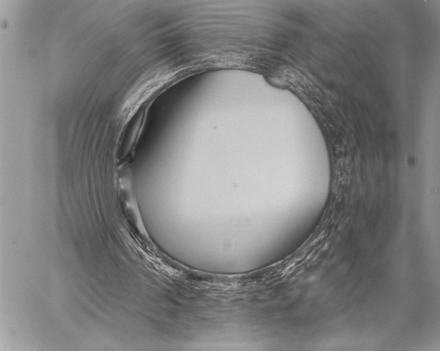 X0000058120194200510171319