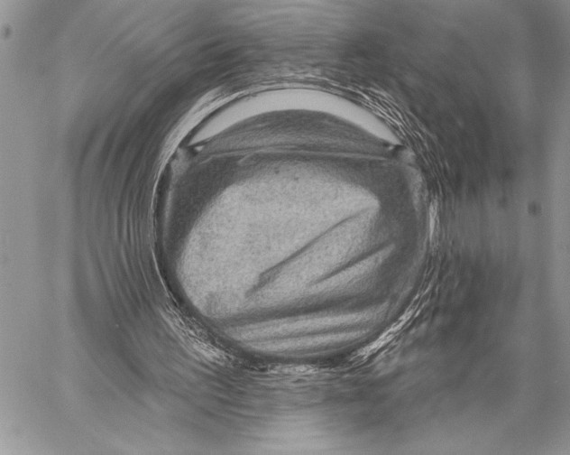 X0000058120195200510171319