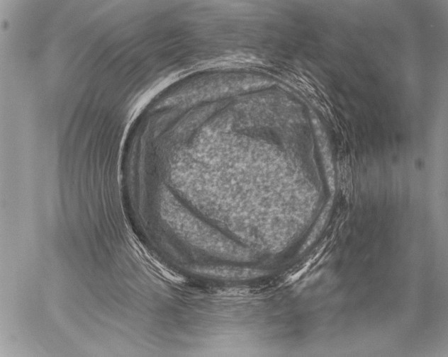 X0000058120196200510171319