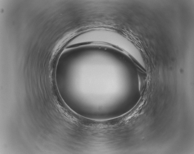 X0000058120197200510171319