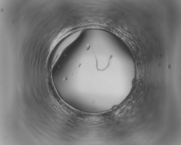 X0000058120198200510171319