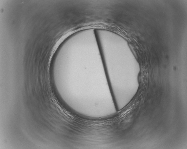 X0000058120200200510171319