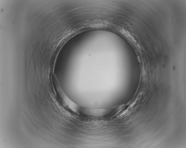 X0000058120201200510171319