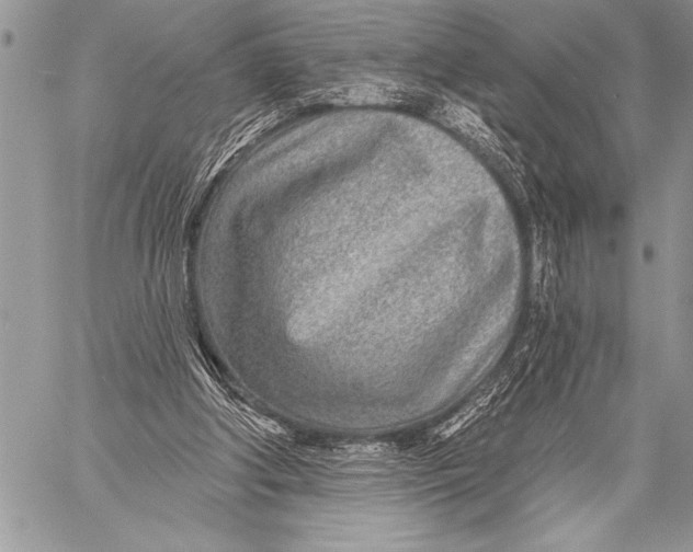 X0000058120202200510171319