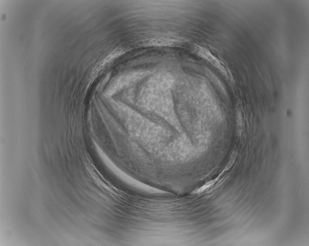 X0000058120203200510171319